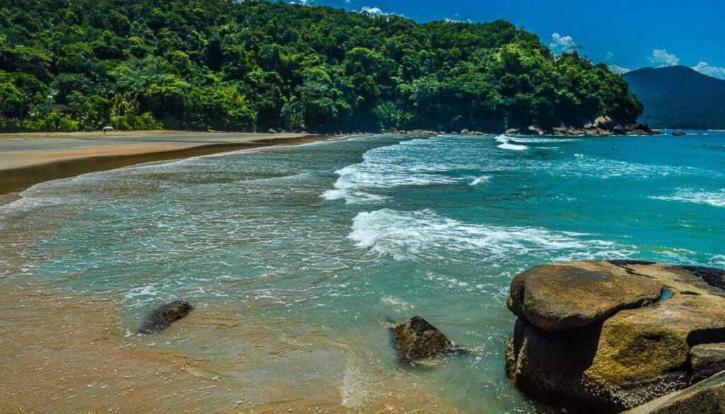 Sentido Sul Praia Brava 8,3 km